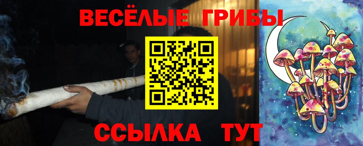 Светлоград  Псилоцибиновые грибы MAGIC MUSHROOMS  Вход с VPN 